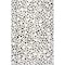 Nuloom Brooks Leopard Print Area Rug 4ft x 6ft ECRK15A-406 - alternate 7